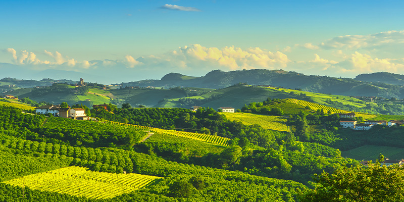 langhe nocciole